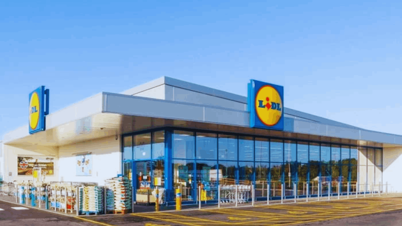 Work at Lidl: Learn How to Apply for a Position